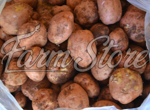 ding dưỡng của khoai tây